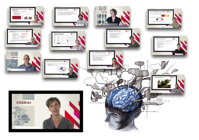 video screen montage